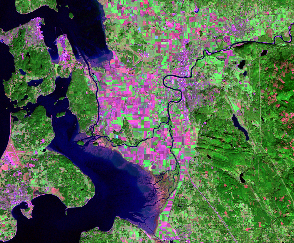 Mt. Vernon, Washington, USA, Landsat 5, bands 7,4,2 (false color)