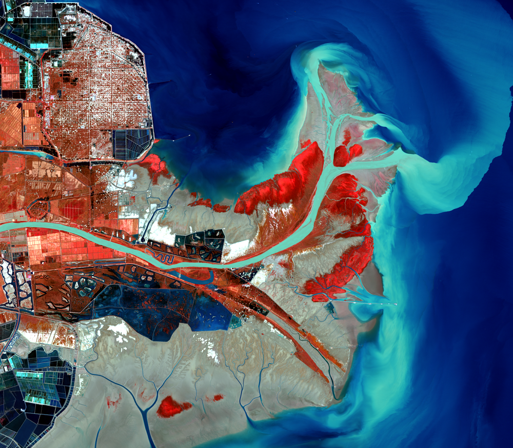 Oct. 24, 2020, Landsat 8 (path/row 121/34) — close up of the Huang He Delta, China