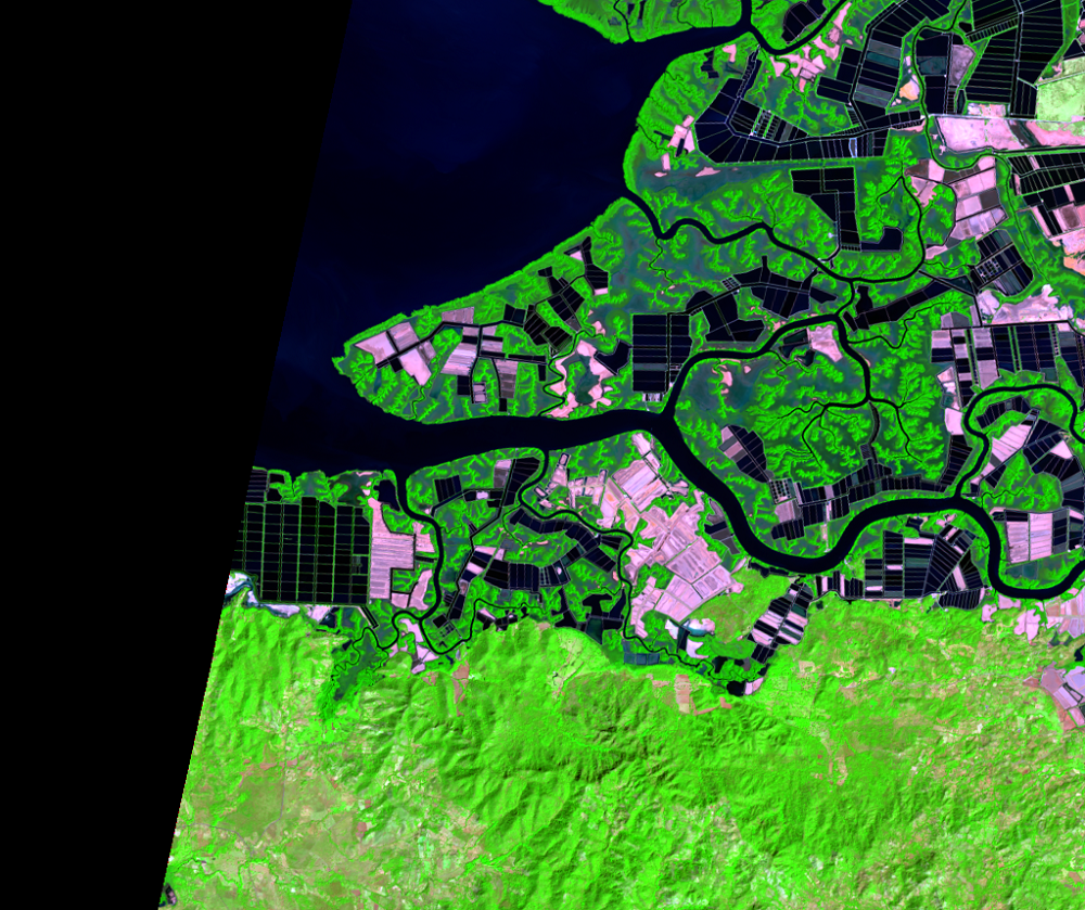 Feb. 4, 2021, Landsat 8 (path/row 17/51) — Shrimp farms on the Gulf of Fonseca, Honduras and Nicaragua