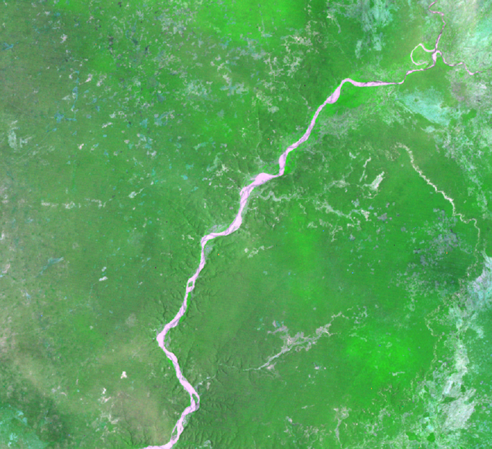 Jan. 21, 1973, Landsat 1 (path/row 171/77) — deforestation in Madagascar