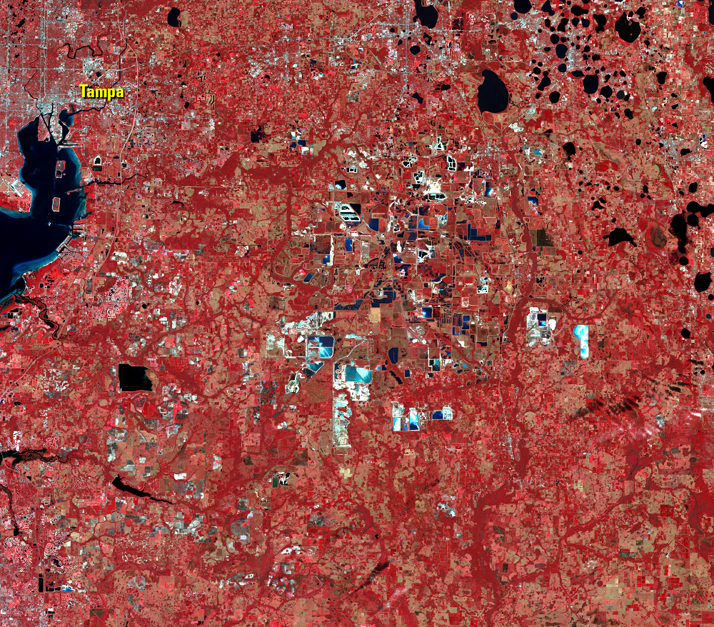 Feb. 4, 2000, Landsat 5 (path/row 16/41) — phosphate mines near Tampa, Florida, USA