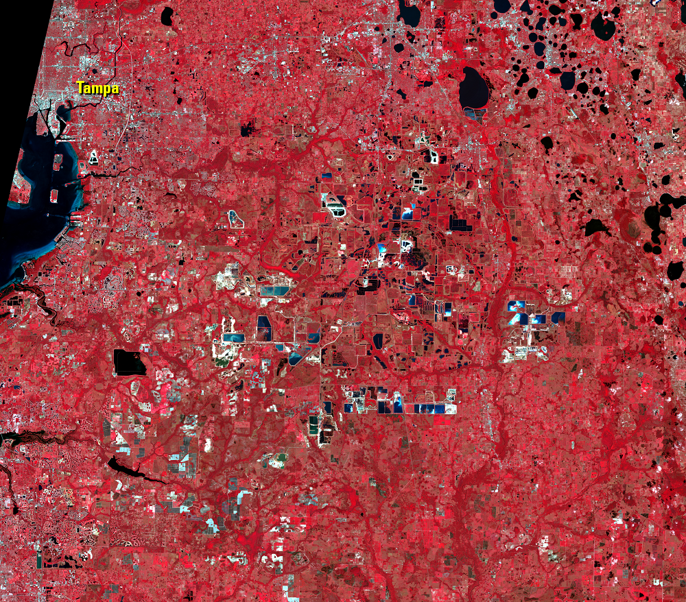 Mar. 14, 2014, Landsat 8 (path/row 16/41) — phosphate mines near Tampa, Florida, USA