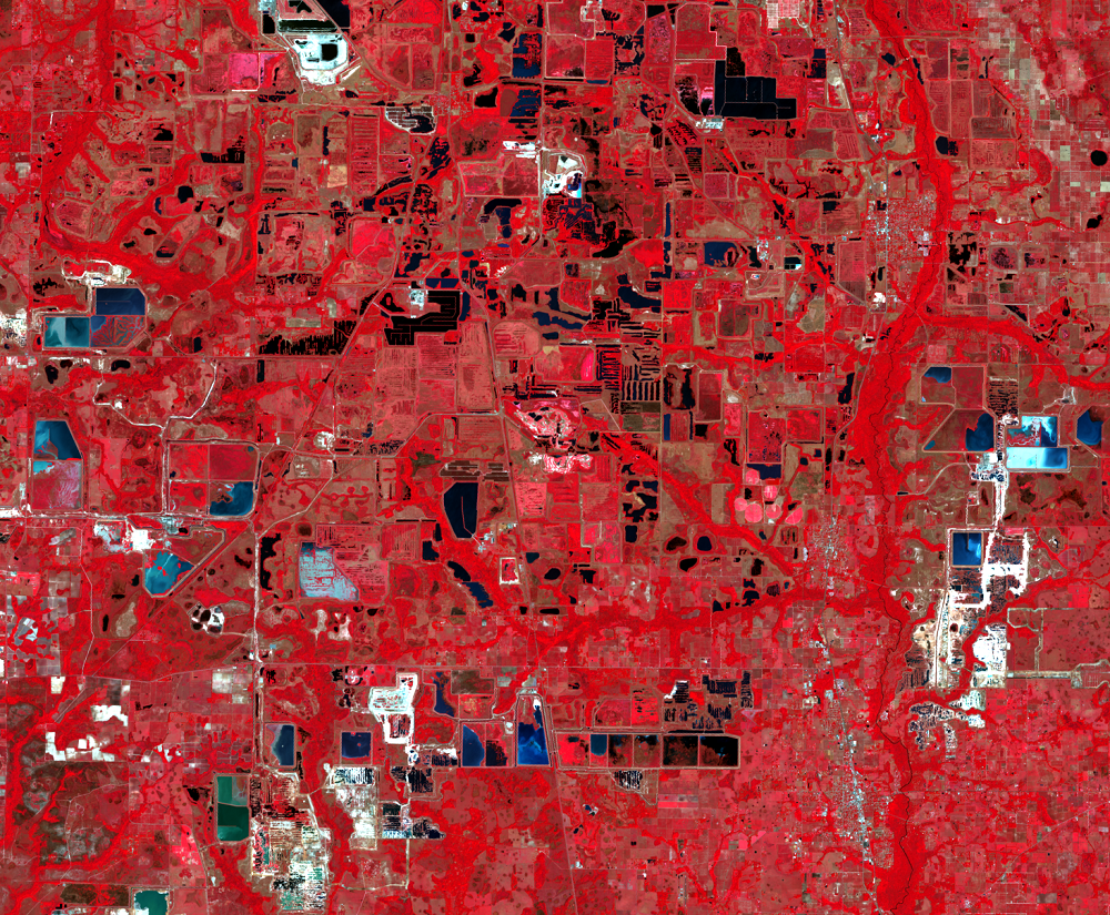 Mar. 17, 2021, Landsat 8 (path/row 16/41) — expansion of phosphate mines near Tampa, Florida, USA