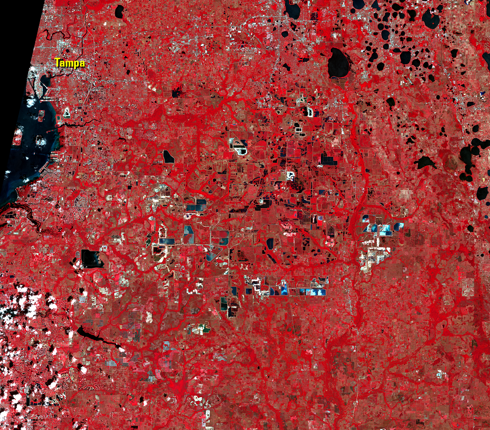 Apr. 7, 2017, Landsat 8 (path/row 16/41) — phosphate mines near Tampa, Florida, USA