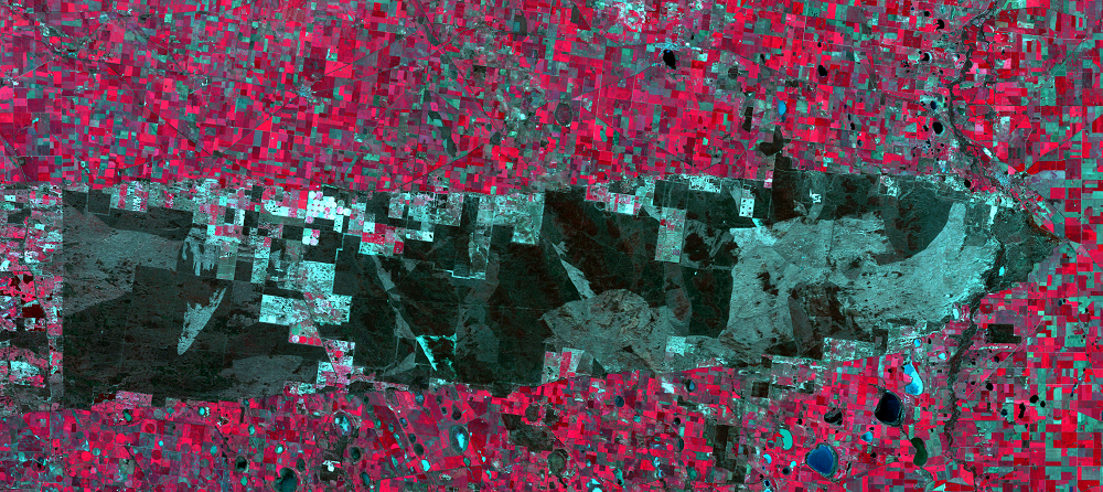 Aug. 23, 2011, Landsat 5 (path/row 95/85) — Little Desert National Park, Australia