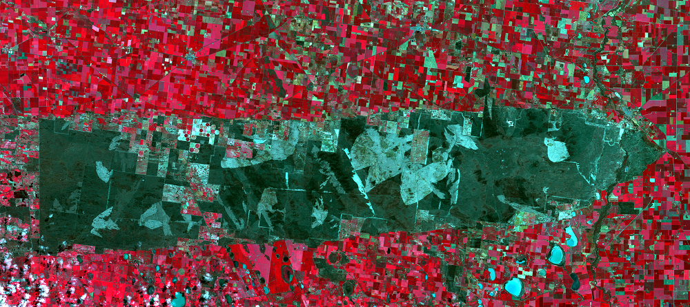 Oct. 10, 2017, Landsat 8 (path/row 95/85) — Little Desert National Park, Australia