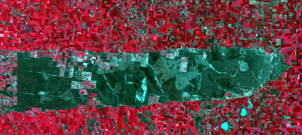 Oct. 2, 2020, Landsat 8 (path/row 95/85) — Little Desert National Park, Australia