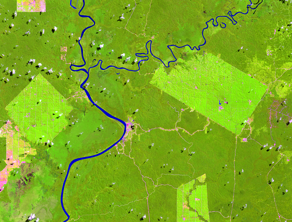 Aug. 18, 2020, Landsat 8 (path/row 100/65) — Location of palm oil plantations, Papua, Indonesia