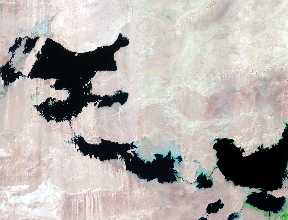 Mar. 24 and 18, 2021, Landsat 8 (path/row 175,176/44) — Toshka Lakes, Egypt