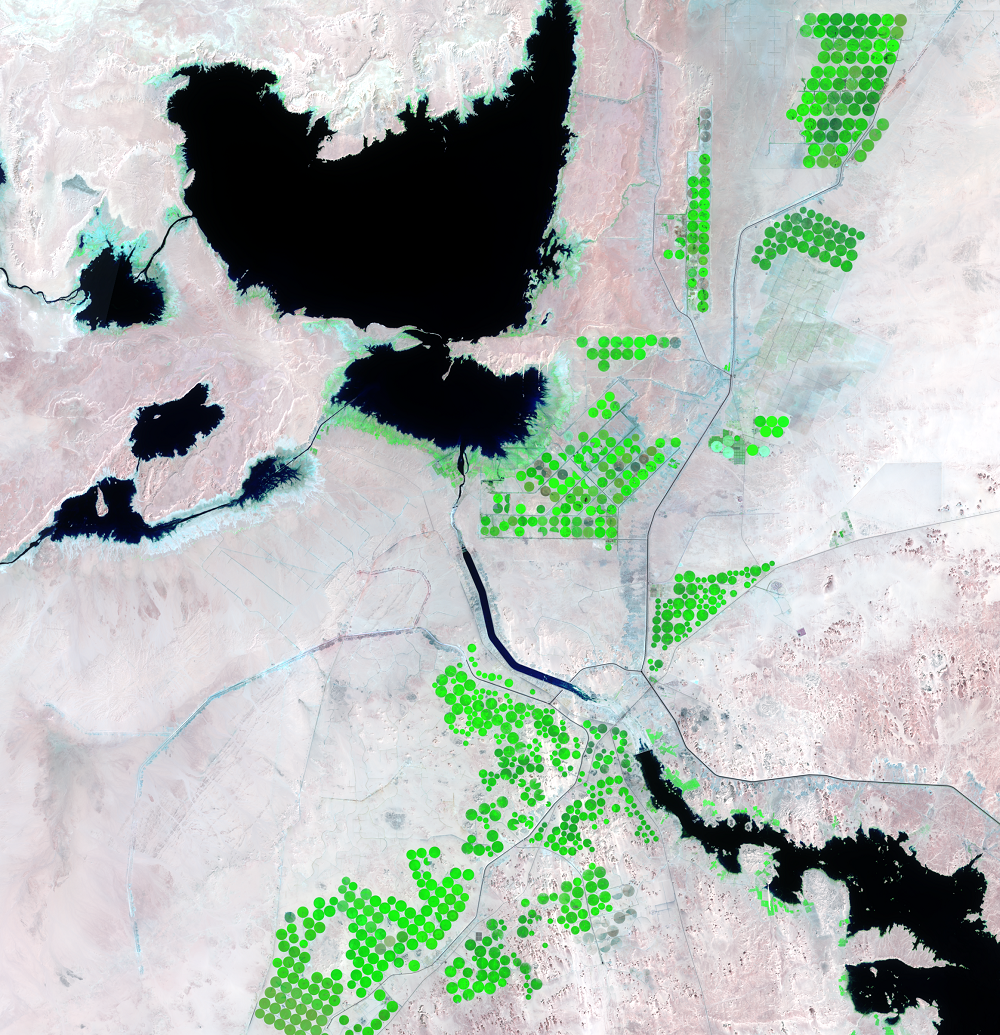 Mar. 24 and 18, 2021, Landsat 8 (path/row 175,176/44) — close-up of irrigated fields near the Toshka Lakes, Egypt