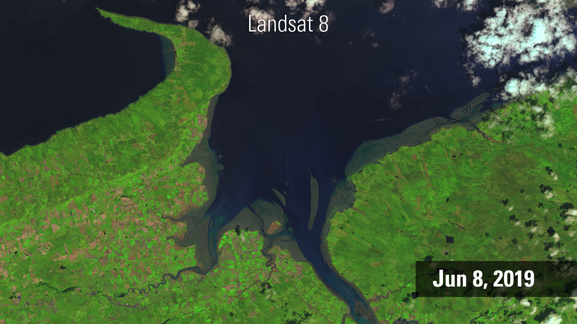 Color Landsat image of Bay of Fundy, June 8, 2019