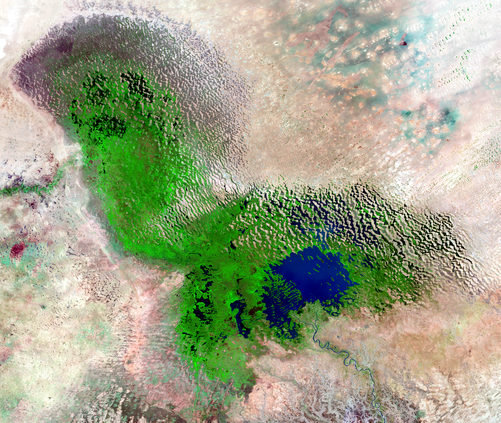 May–June 2018, Landsat 8 (path/row 184–186/50–52) — Lake Chad
