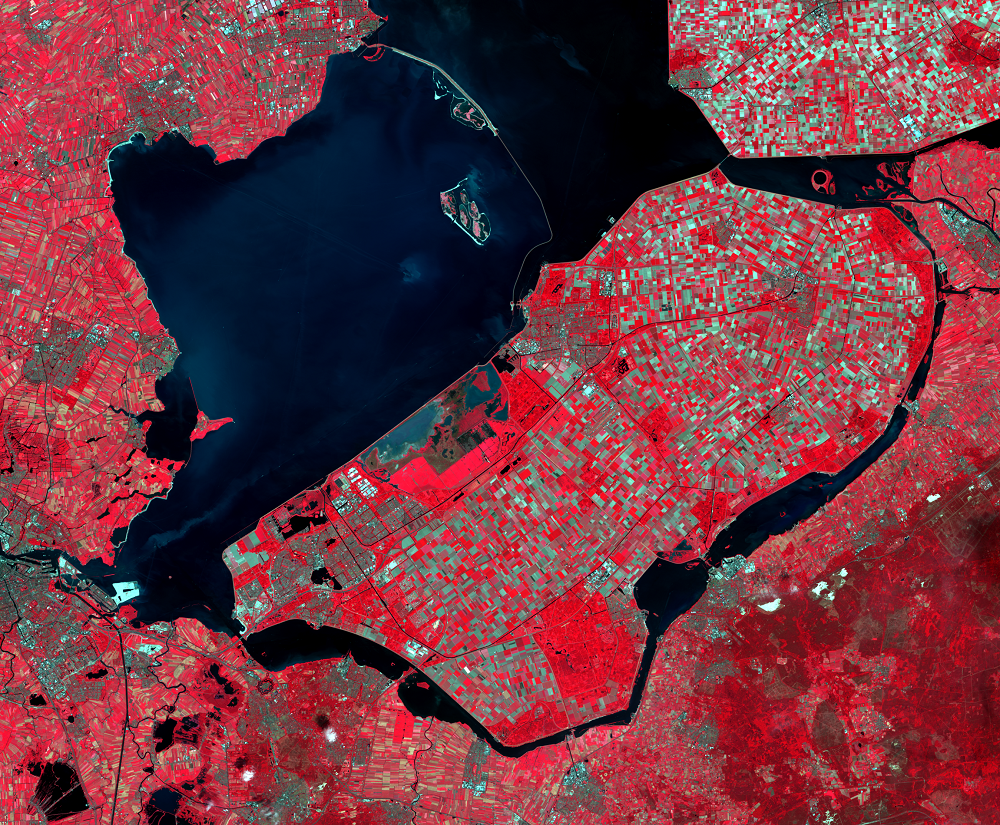 June 16, 2021, Landsat 8 (path/row 198/23,24) — Southern Flevoland and Markerwaard, Netherlands