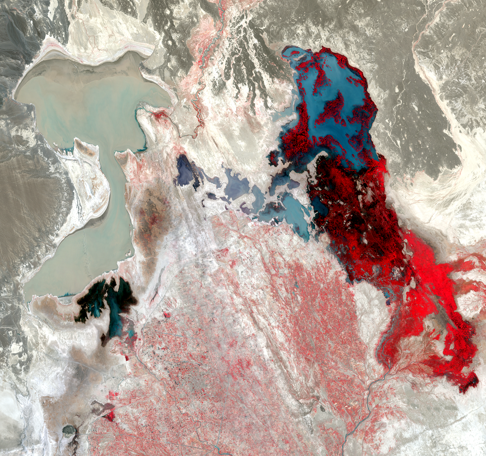 June 20, 1987, Landsat 5 (path/row 157/38,39) — Lake Hamoun, Iran and Afghanistan