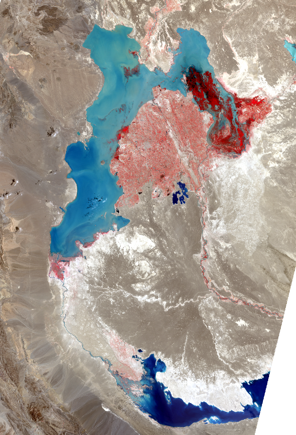 June 2, 1998, Landsat 5 (path/row 157/38,39) — Lake Hamoun, Iran and Afghanistan