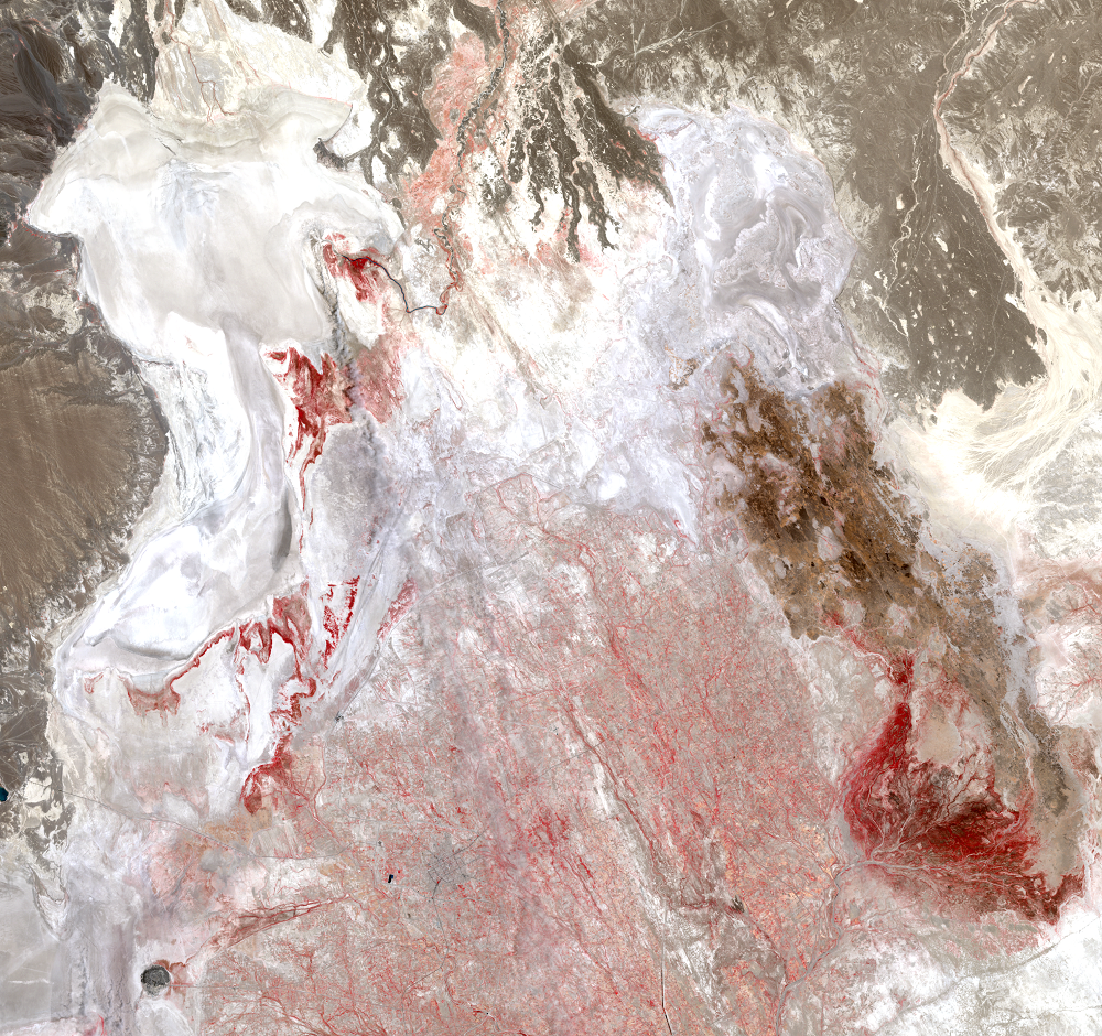 June 7, 2000, Landsat 5 (path/row 157/38,39) — Lake Hamoun, Iran and Afghanistan