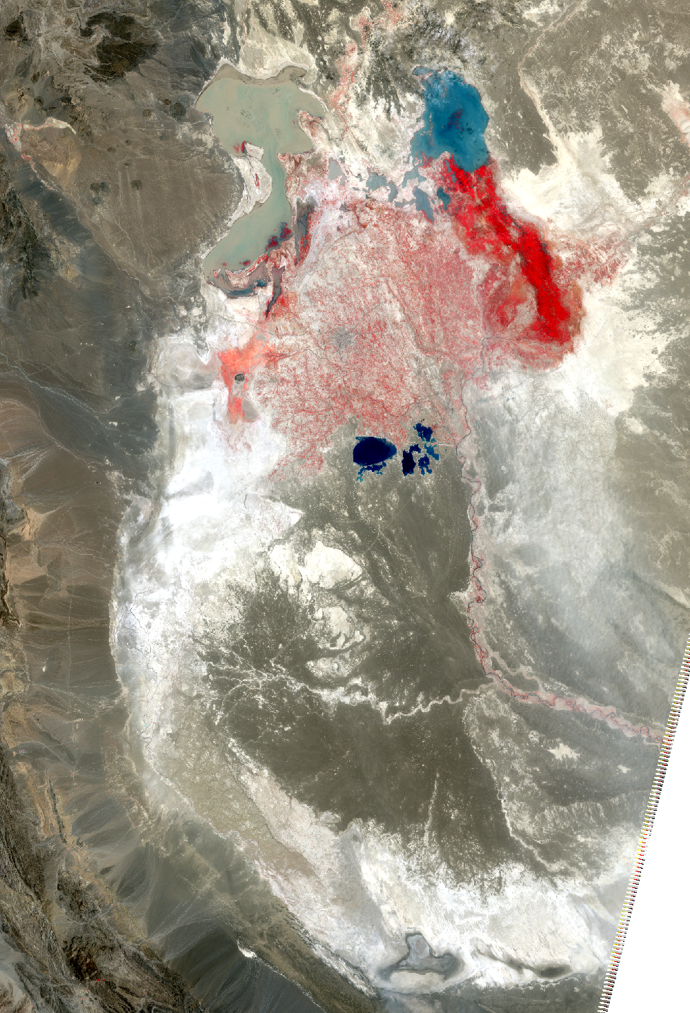 Aug. 3, 2009, Landsat 5 (path/row 157/38,39) — Lake Hamoun, Iran and Afghanistan
