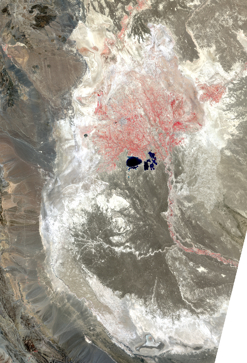 July 13, 2013, Landsat 8 (path/row 157/38,39) — Lake Hamoun, Iran and Afghanistan