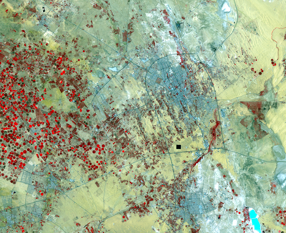July 27 and Aug. 5, 2019, Landsat 8 (path/row 167,168/42) — Buraydah, Saudi Arabia