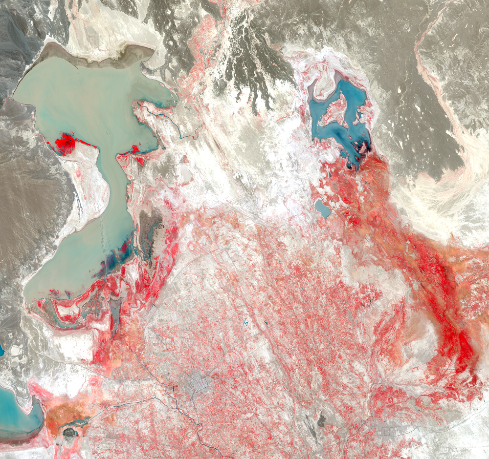 July 30, 2019, Landsat 8 (path/row 157/38,39) — Lake Hamoun, Iran and Afghanistan