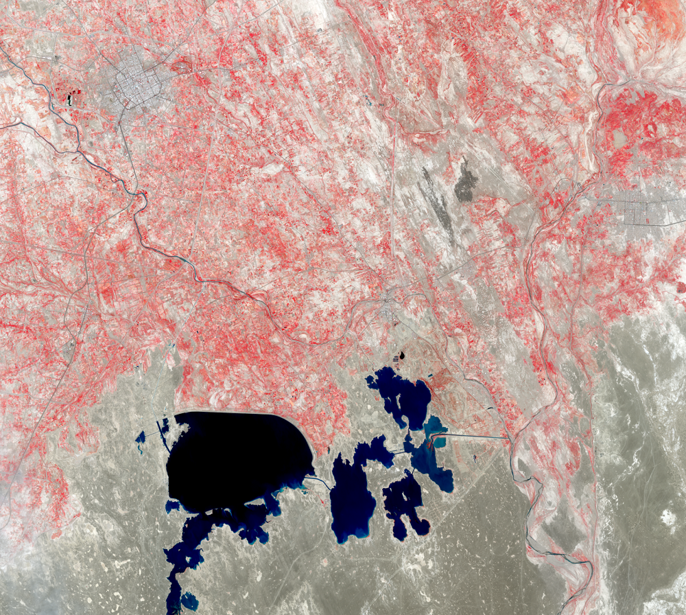 July 30, 2019, Landsat 8 (path/row 157/38,39) — Zabol and Chah-Nimeh reservoirs, Iran