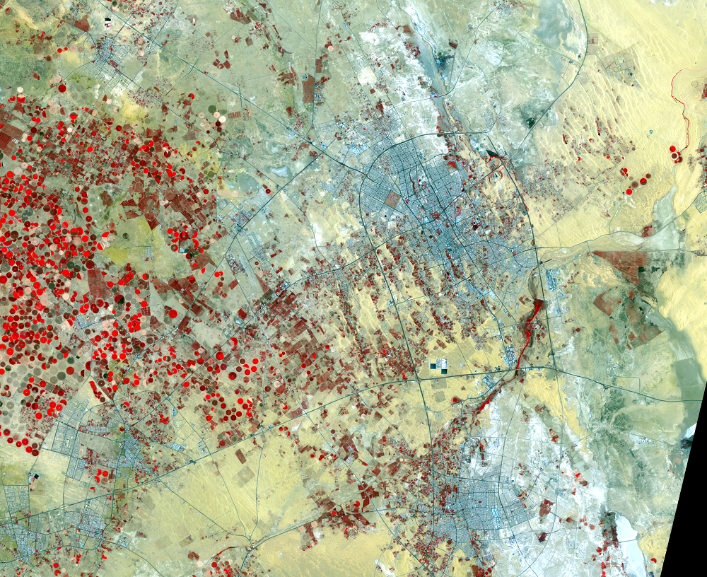 June 30, 2021, Landsat 8 (path/row 168/42) — Buraydah, Saudi Arabia