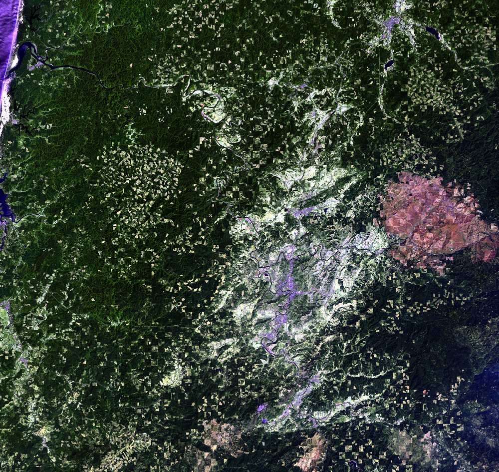 July 25, 2021, Landsat 8 (path/row 46/30) — logging patterns, OR, USA