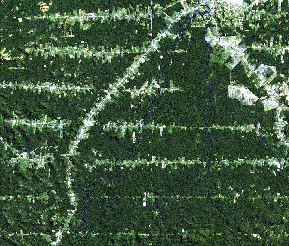 June 24, 1984, Landsat 5 (path/row 232/67) — Deforestation, Rondônia, Brazil