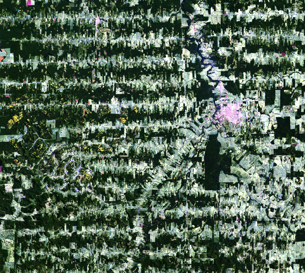 Aug. 10, 2001, Landsat 5 (path/row 232/67) — Ariquemes, Brazil