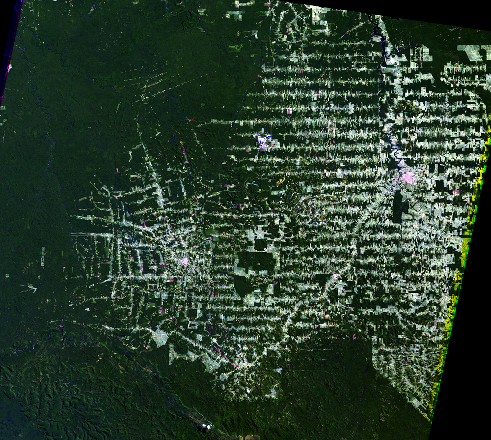 Aug. 10, 2001, Landsat 5 (path/row 232/67) — Rondônia, Brazil