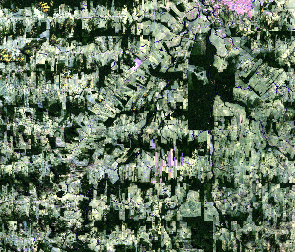 July 5, 2011, Landsat 5 (path/row 232/67) — Deforestation, Rondônia, Brazil