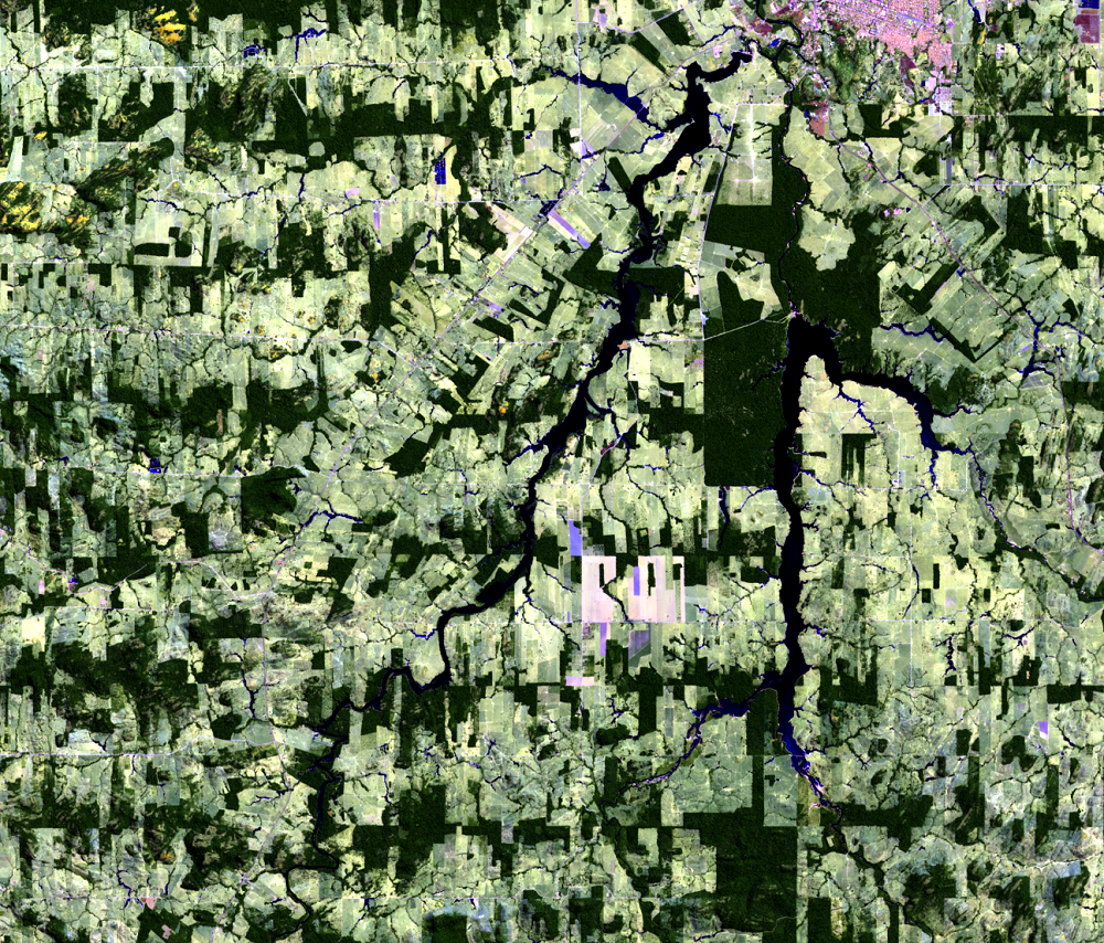 July 27, 2019, Landsat 8 (path/row 232/67) — Deforestation, Rondônia, Brazil