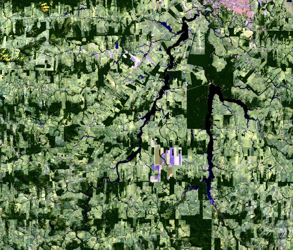 July 16, 2021, Landsat 8 (path/row 232/67) — Deforestation, Rondônia, Brazil