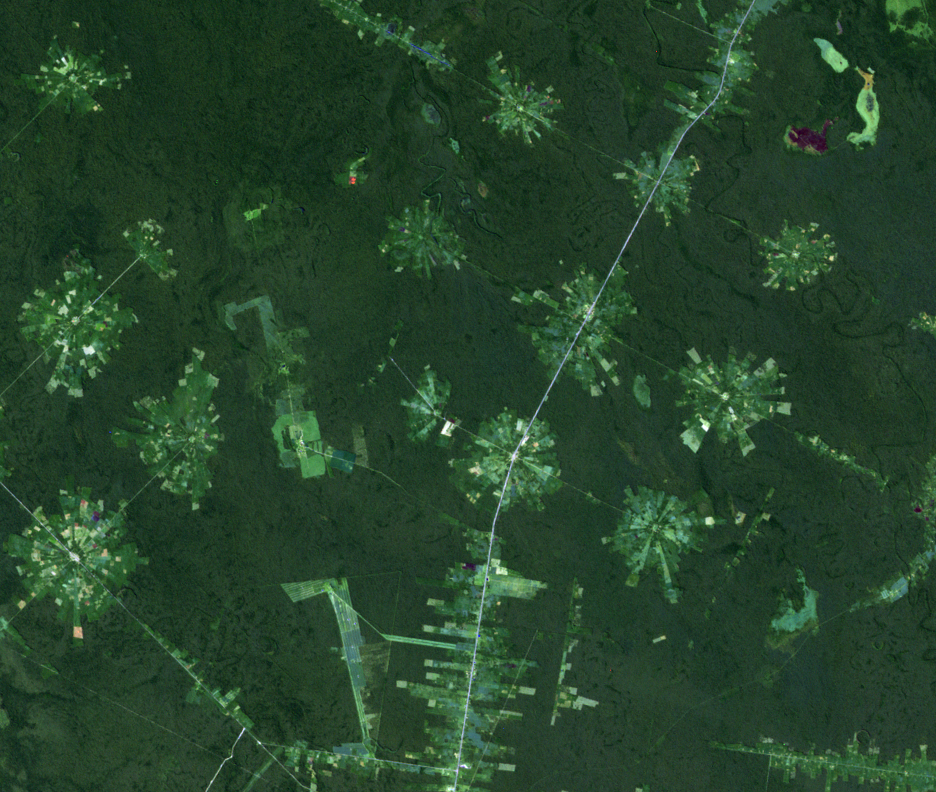 Aug. 11, 1989, Landsat 5 (path/row 230/72) — San Julian resettlement, Bolivia