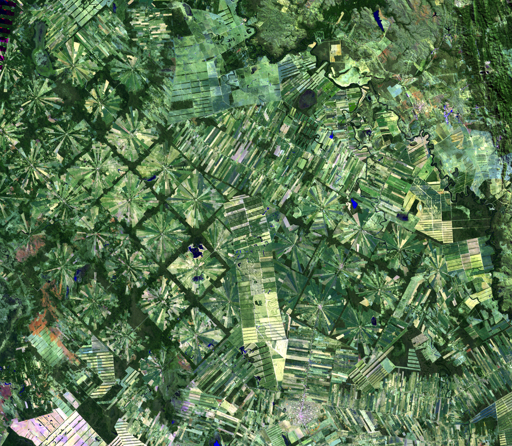 July 20, 2010, Landsat 5 (path/row 230/72) — San Julian resettlement, Bolivia