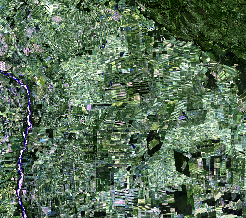 July 23, 2017, Landsat 8 (path/row 230/72) — Deforestation, Santa Cruz, Bolivia