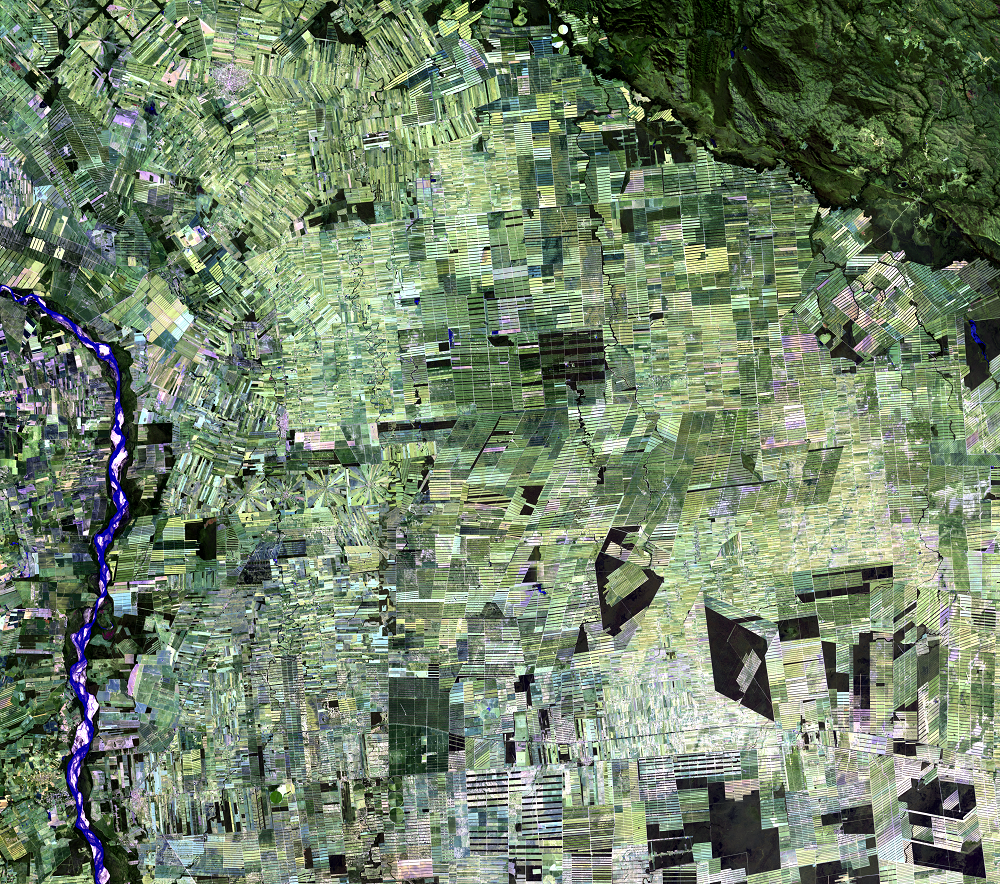 July 29, 2019, Landsat 8 (path/row 230/72) — Deforestation, Santa Cruz, Bolivia