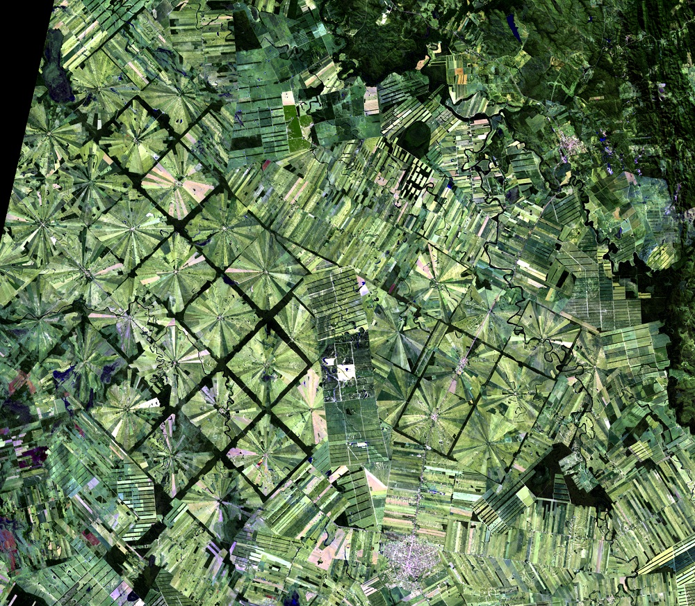 July 29, 2019, Landsat 8 (path/row 230/72) — San Julian resettlement, Bolivia