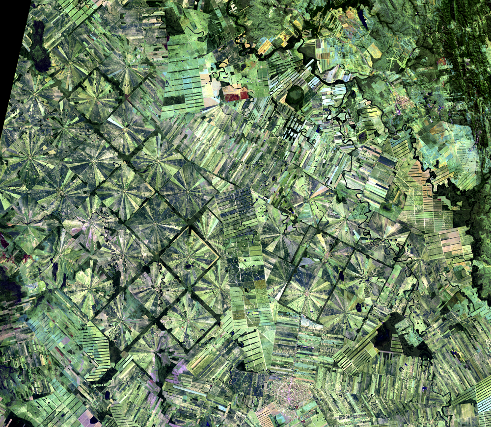 Aug. 19, 2021, Landsat 8 (path/row 230/72) — San Julian resettlement, Bolivia