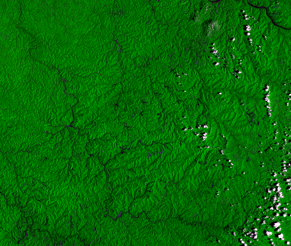 July 1, 1975, Landsat 1 (path/row 19/34) — Mountaintop mining, West Virginia, USA