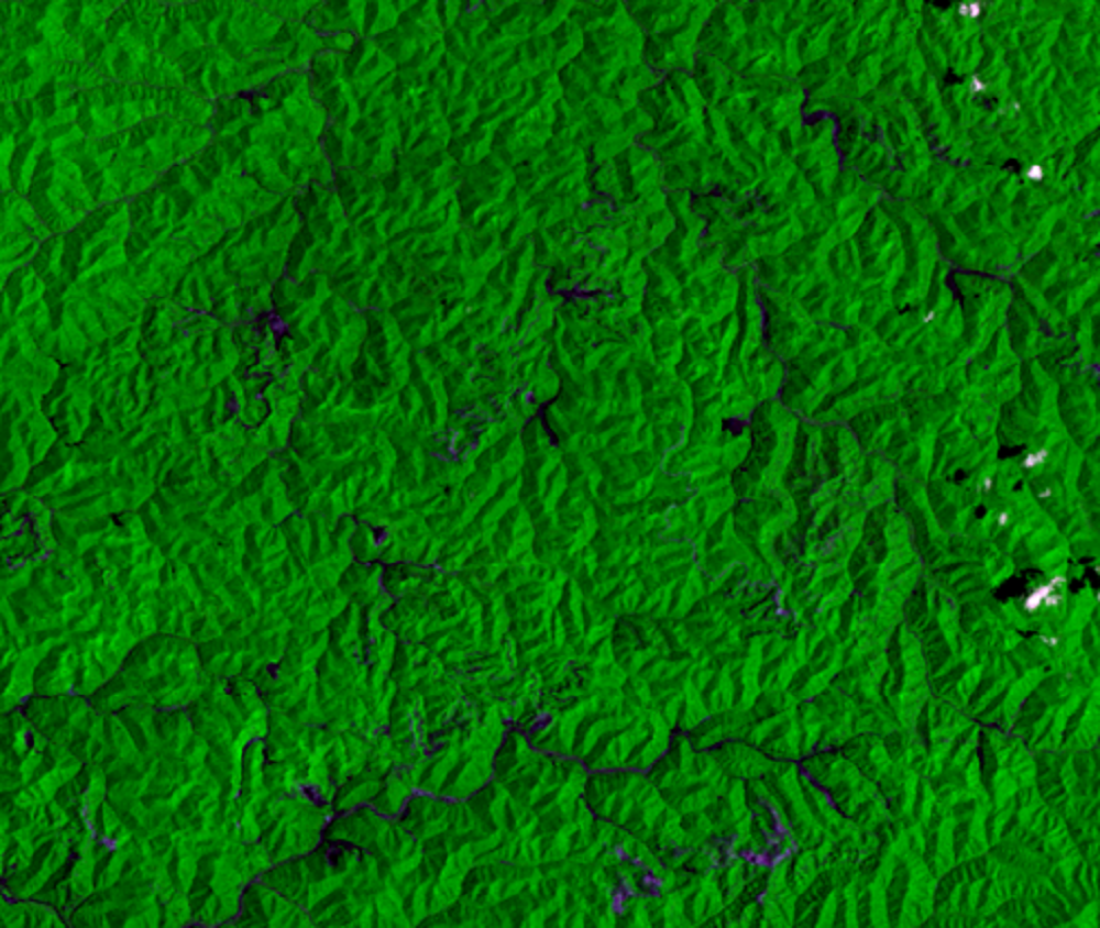 July 1, 1975, Landsat 1 (path/row 19/34) — Mining reclamation, West Virginia, USA