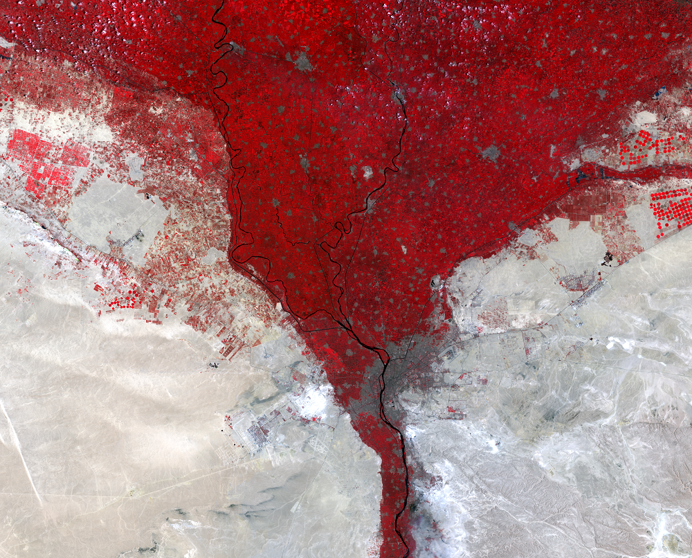 July 23 and 30, 2003, Landsat 5 (path/row 176,177/39) — Nile River Delta, Egypt