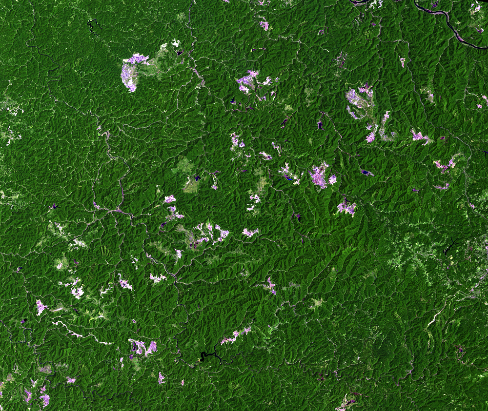 July 17, 2008, Landsat 5 (path/row 18/34) — Mountaintop mining, West Virginia, USA