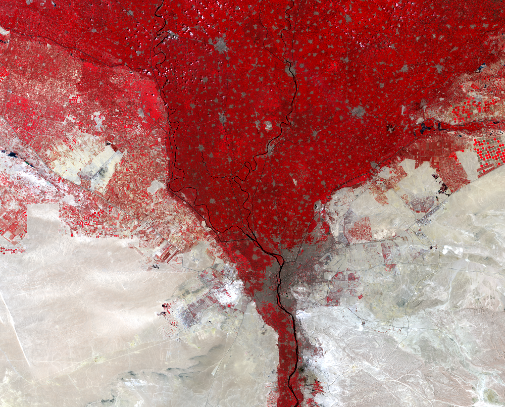 Aug. 3 and 10, 2013, Landsat 8 (path/row 176,177/39) — Nile River Delta, Egypt