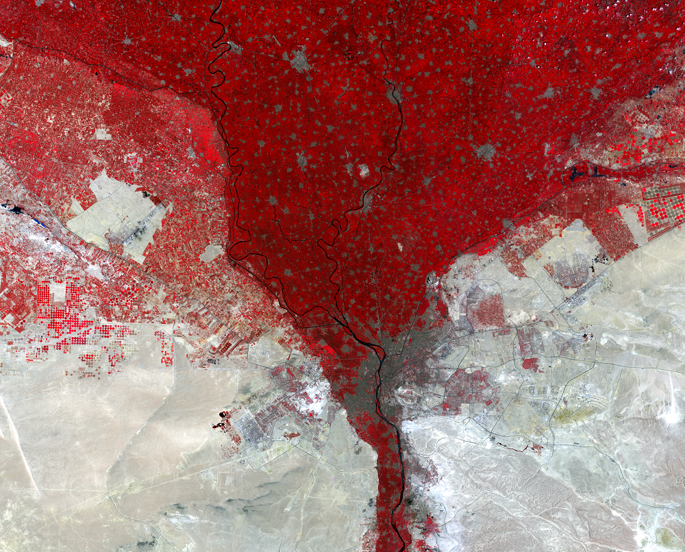 July 26 and Aug. 4, 2019, Landsat 8 (path/row 176,177/39) — Nile River Delta, Egypt