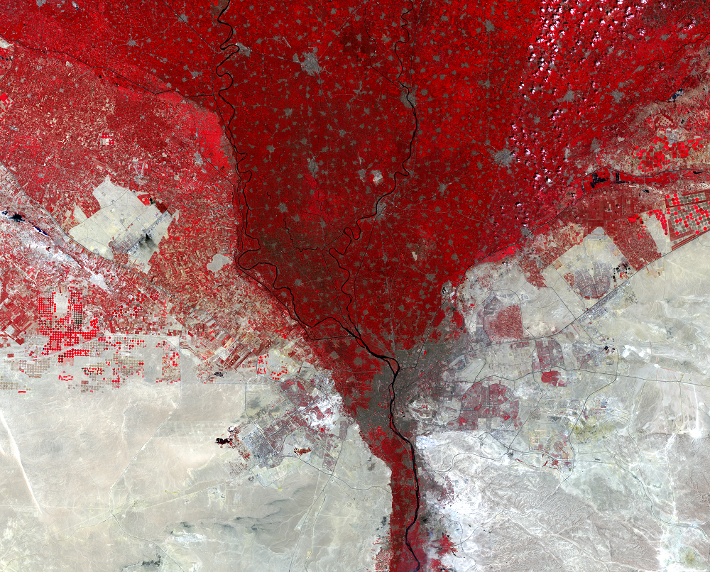Aug. 16 and 25, 2021, Landsat 8 (path/row 176,177/39) — Nile River Delta, Egypt