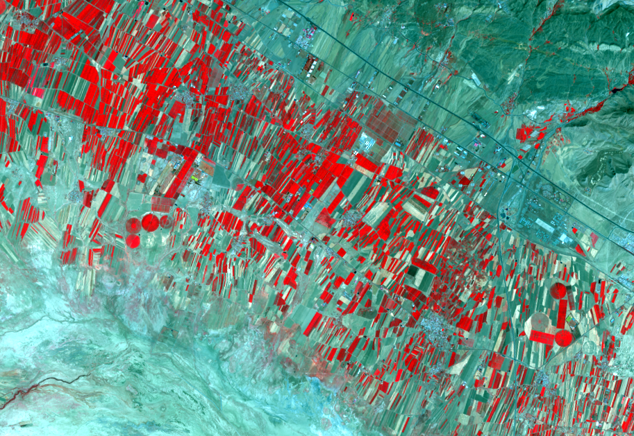 Aug. 28, 2021, Landsat 8 (path/row 165/35) — Irrigated agriculture, Iran