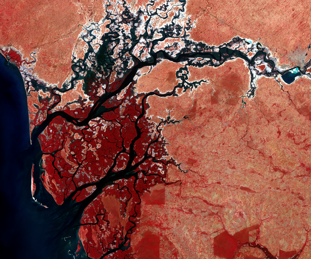 Nov. 26, 2016, Landsat 8 (path/row 205/50) — Saloum River, Senegal