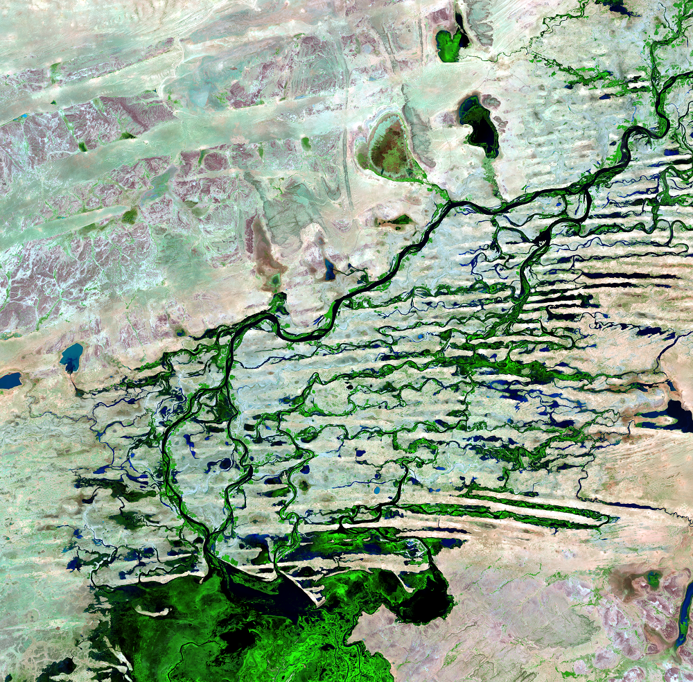 Nov. 16, 2021, Landsat 8 (path/row 197/49) — Northern Niger River Inland Delta, Mali