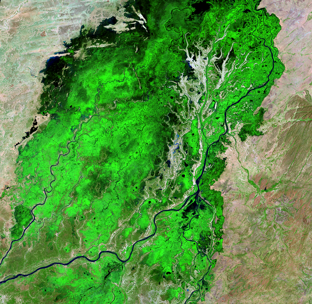 Nov. 16, 2021, Landsat 8 (path/row 197/50) — Southern Niger River Inland Delta, Mali